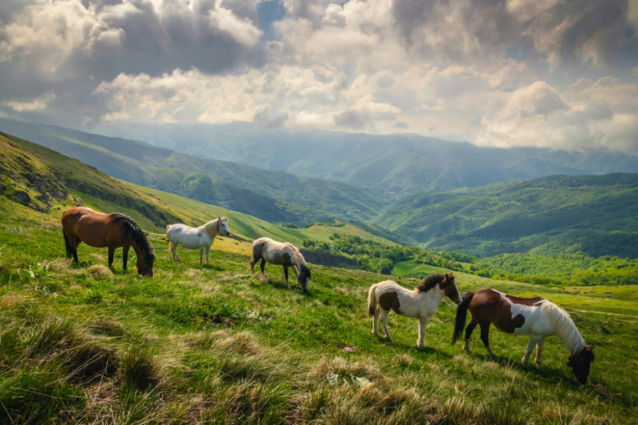 ZA NEKE OD NJIH SIGURNO NISTI ČULI Da li znate koliko Srbija ima planina?