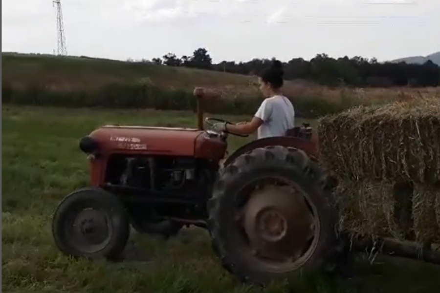 NJENO SELO NE GORI VEĆ CVETA Daske koje život znače, Marija je zamenila motikom i traktorom (FOTO/VIDEO)