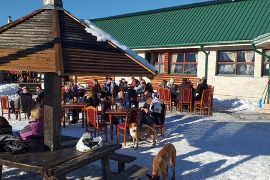 Kamp na srpskoj planini privlači sve više gostiju: Holanđani se odomaćili na Zlatiboru