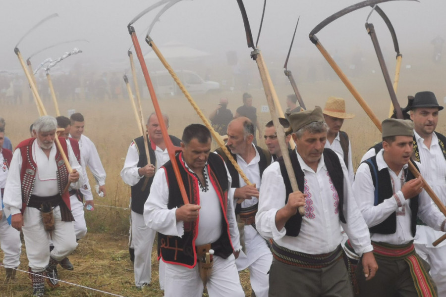 I SRBIJA IMA SVOJ VIMBLDON Takmičari iz Srbije i regiona ukrstili su naoštren alat na neprikosnovenom travnatom terenu Rajca