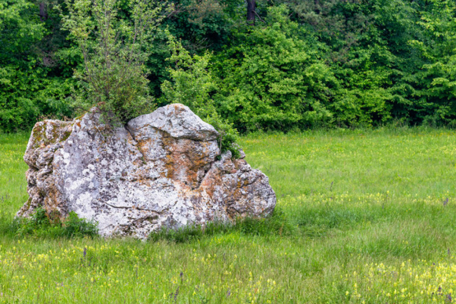 STENA KOJA POMAŽE DA PRONAĐETE SRODNU DUŠU Po predanju Čučuk Stana je hajduk Veljka jurila tri kruga oko ovog kamena