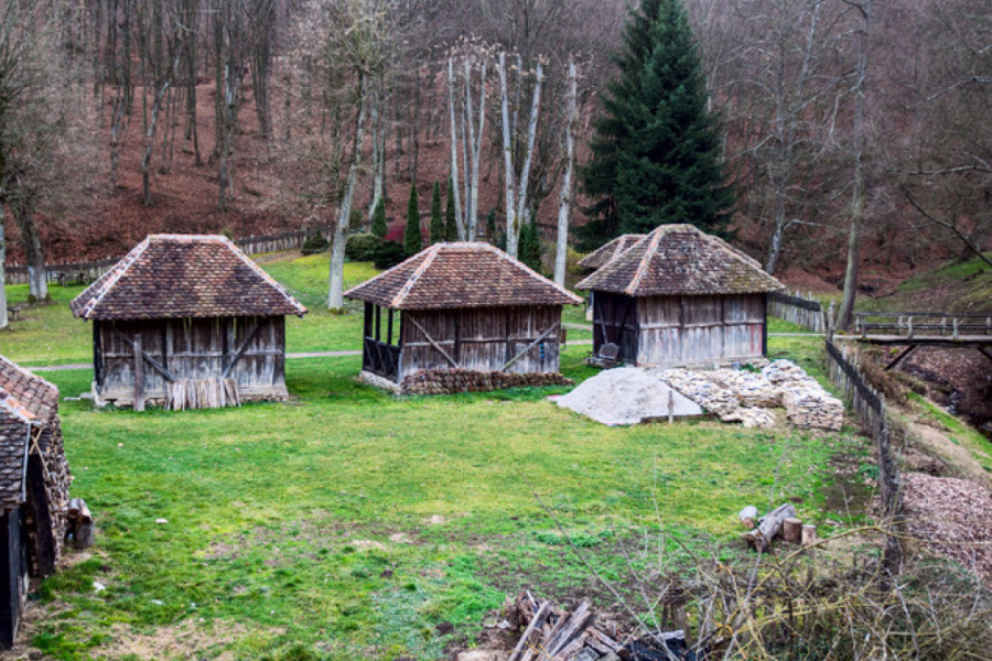 ZNAMENITO MESTO BRANKOVINA Selo u kome je odrasla i sahranjena Desanka Maksimović