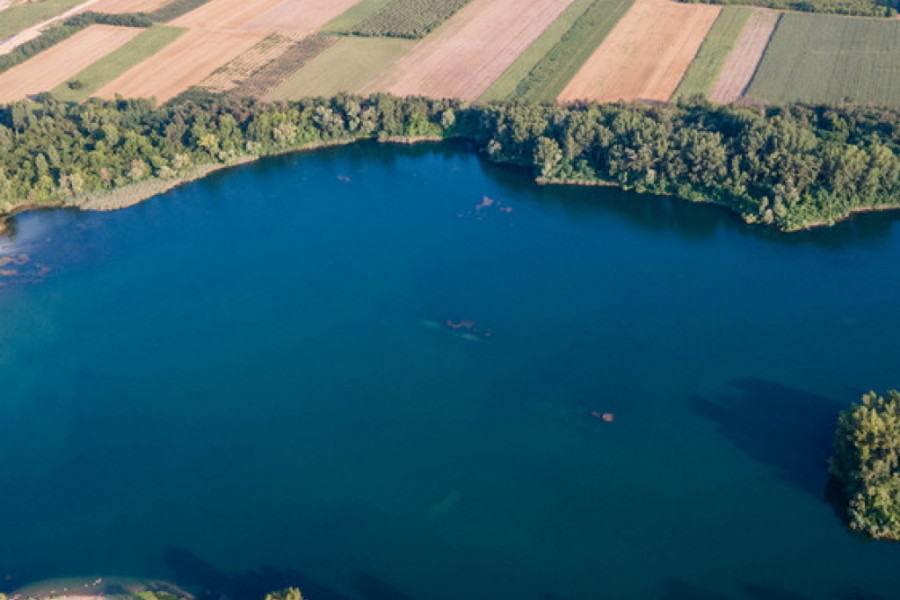 PRAVA SRPSKA VENECIJA Ispod površine ribe plivaju i povremeno remete površinu vode ne bi li ulovile ponekog insekta