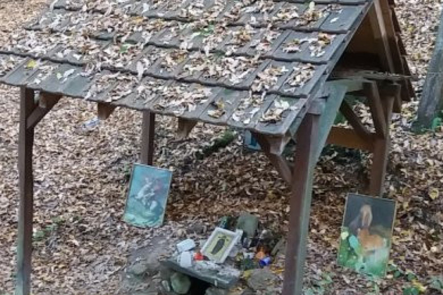 MNOGI SU OVDE PRONAŠLI SPAS Lekoviti izvori posvećeni Svetoj Petki skriveni u šumama širom Šumadije