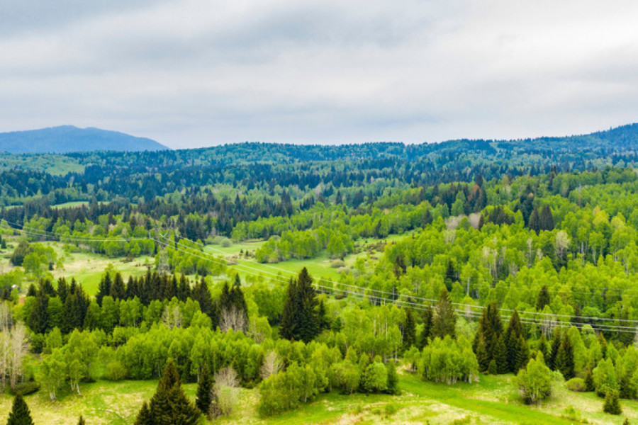 OGROMNA POTRAŽNJA ZEMLJIŠTA NA RAVNOJ GORI Prodato preko sto placeva, bliže Dražinom spomeniku ar je pet puta skuplji