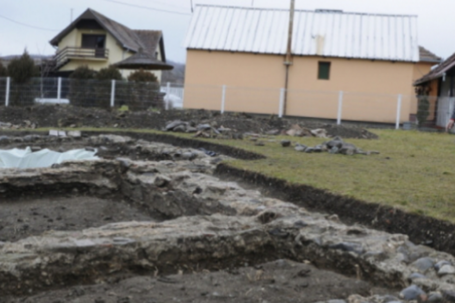 ZANIMLJIVA SKULPTURA LAVA Šta sve krije arheološko nalazište u Prijevoru