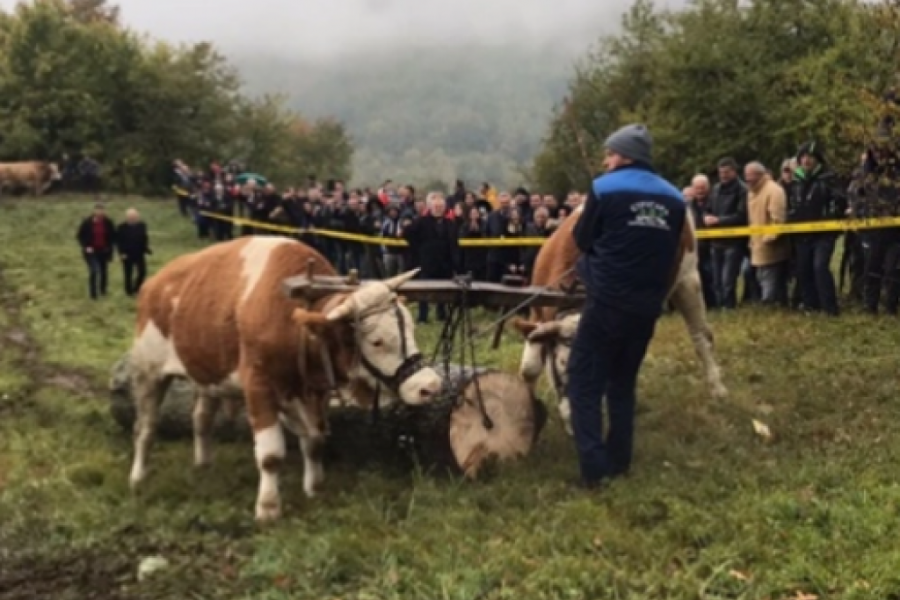 HLEB SA SEDAM KORA U pojedinim selima Srbije još ima rabadžija