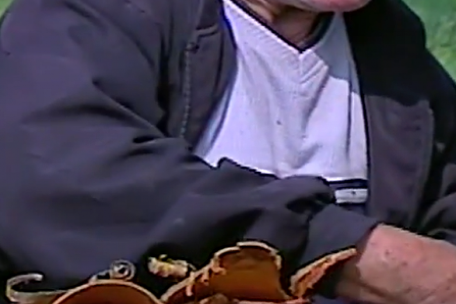 ŠTA SU PETROVDANSKE LILE Narodni običaj koji okuplja i stare i mlade