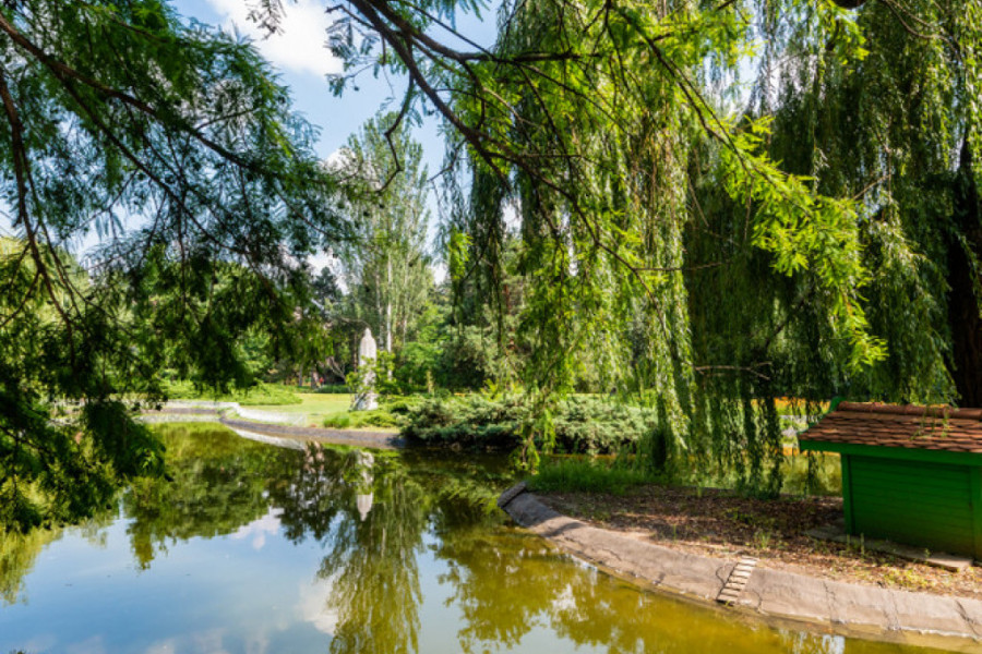 NEKAD RUKAVAC DUNAVA DANAS NAJLEPŠI DEO NOVOG SADA Park sa prelepim jezerom i dosta biljnih vrsta