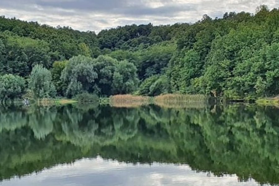 IDILIČNO MESTO NA JUGU SRBIJE Mesto skriveno bujnom prirodom predstavlja pravu atrakciju za ribolovce i ljubitelje prirode