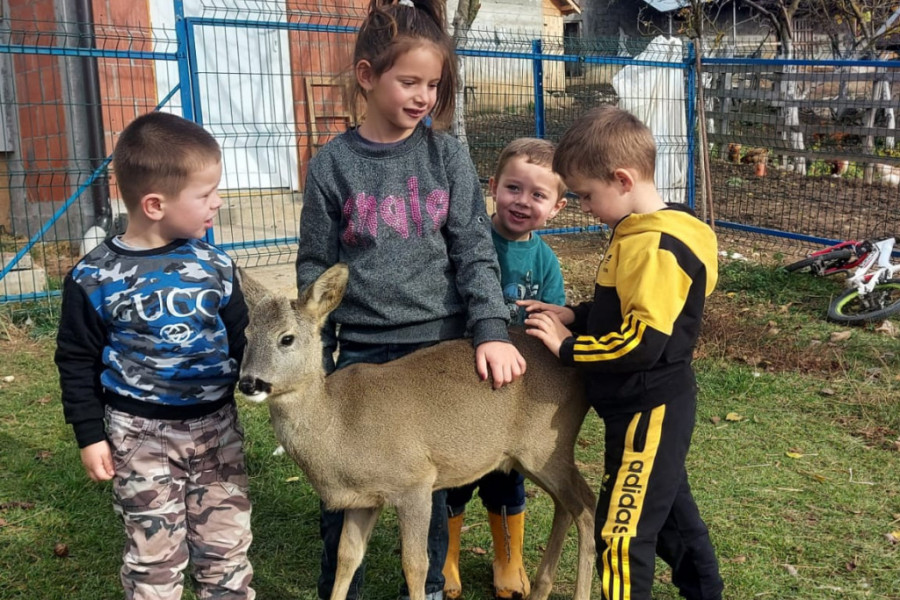 GLAVNA ATRAKCIJA MEĐU DECOM U SELU Spasio je od sigurne smrti i odgajio od nekoliko kila mesa