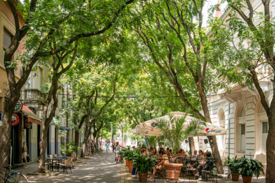 IGRA SVETLA I SENKI Ovaj srpski grad krije jednu od najlepših ulica na svetu, prepunu jedinstvenog drvoreda i cvetnih aleja!