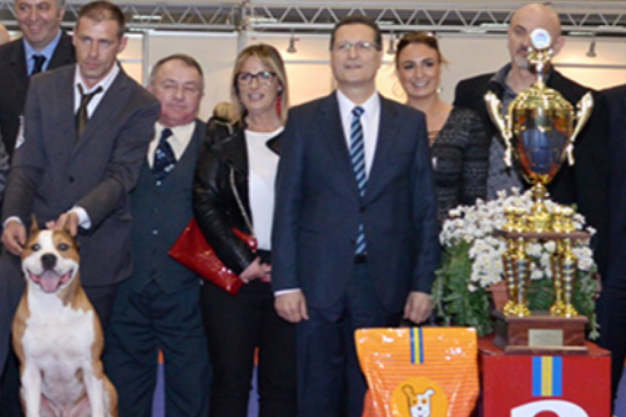 MEĐUNARODNA IZLOŽBA PASA SVIH RASA I ove godine na Beogradskom sajmu