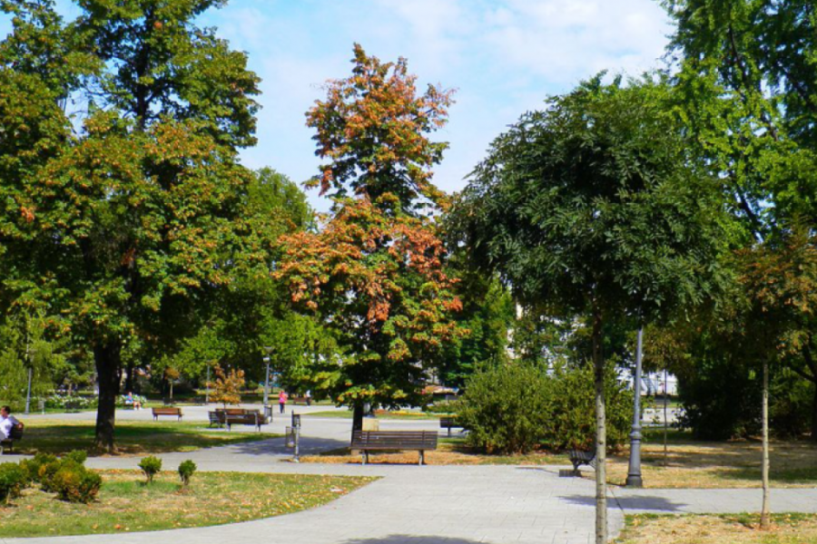 JEDAN OD NAJSTARIJIH PARKOVA U BEOGRADU Kako je park Manjež dobio ime