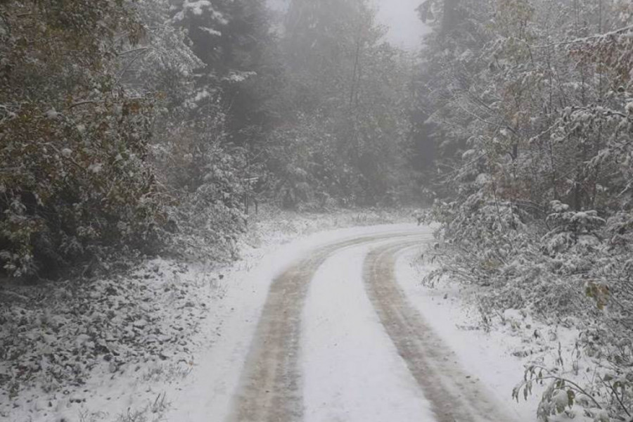 SNEG OKOVAO ZAPADNU SRBIJU Za samo par sati palo 30 centimetara na Zlatiboru, pojedini putevi neprohodni za šlepere, u Dragačevu 300 kuća ostalo bez struje