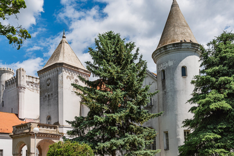 RASKOŠNI SVEDOCI PROHUJALIH VREMENA Najlepši dvorci Vojvodine koji će vas očarati, za svaki se vezuje neverovatna priča!