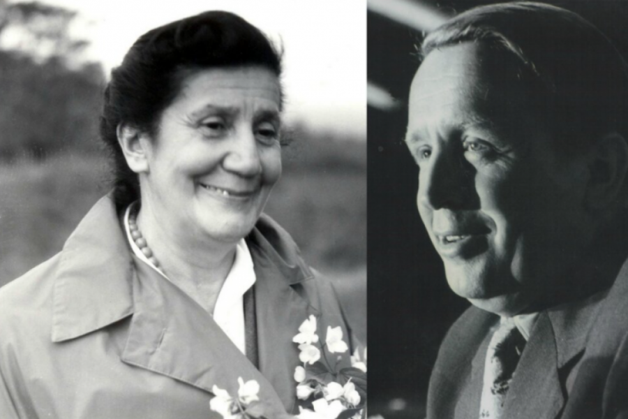 DESANKA MAKSIMOVIĆ SE PRVI PUT POLJUBILA SA 35 GODINA Pesnikinja pred smrt progovorila o svojoj jedinoj ljubavi