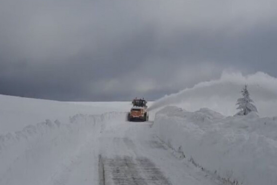 NE KREĆITE NA PUT PREKO OVE PLANINE Sneg intenzivno pada na Goliji, padavine i na Zlatiboru i Tari - mehanizacija već na terenu (FOTO)