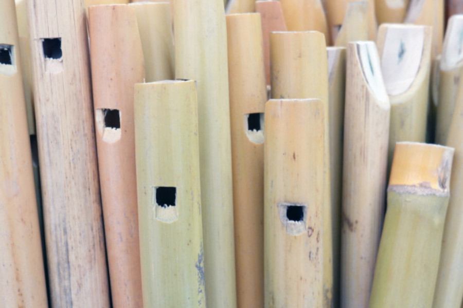 JEDINI NARODNI INSTRUMENT UZ KOJI SE PEVA Kako je kaval izašao iz zaborava