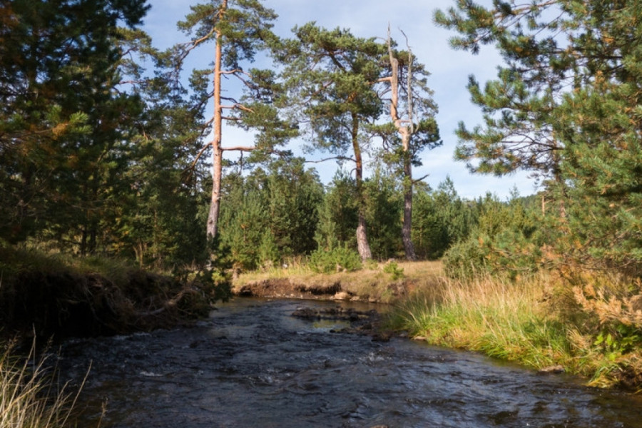 NEKADA NAJČISTIJA U SRBIJI Reka koja nudi prelepa mesta za vikend izlete sa porodicom i prijateljima