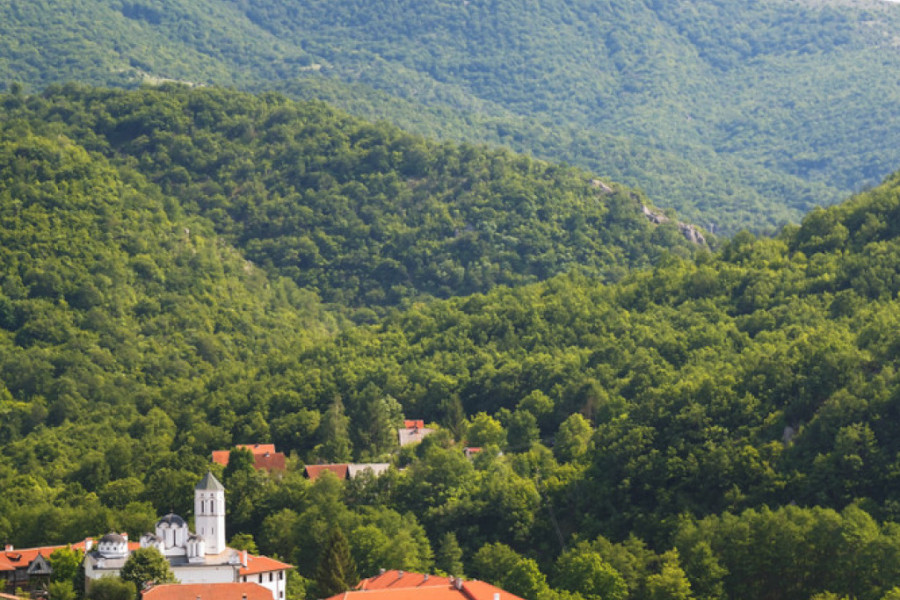 SVI SU OSTALI NEMI NA OVO Neverovatno čudo u manastiru Prohor Pčinjski!
