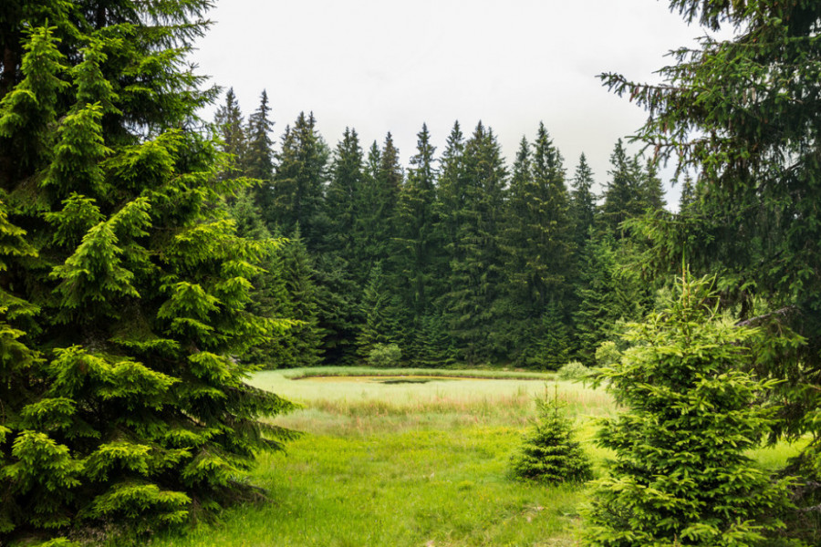 LEGENDE O OVOM MESTU LEDE KRV U ŽILAMA Netaknuti biser prirode i gorsko oko jedne od najlepših srpskih planina