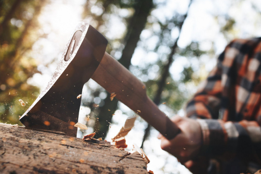 NIJE SVEJEDNO Kako odabrati pravu sekiru za cepanje drva?