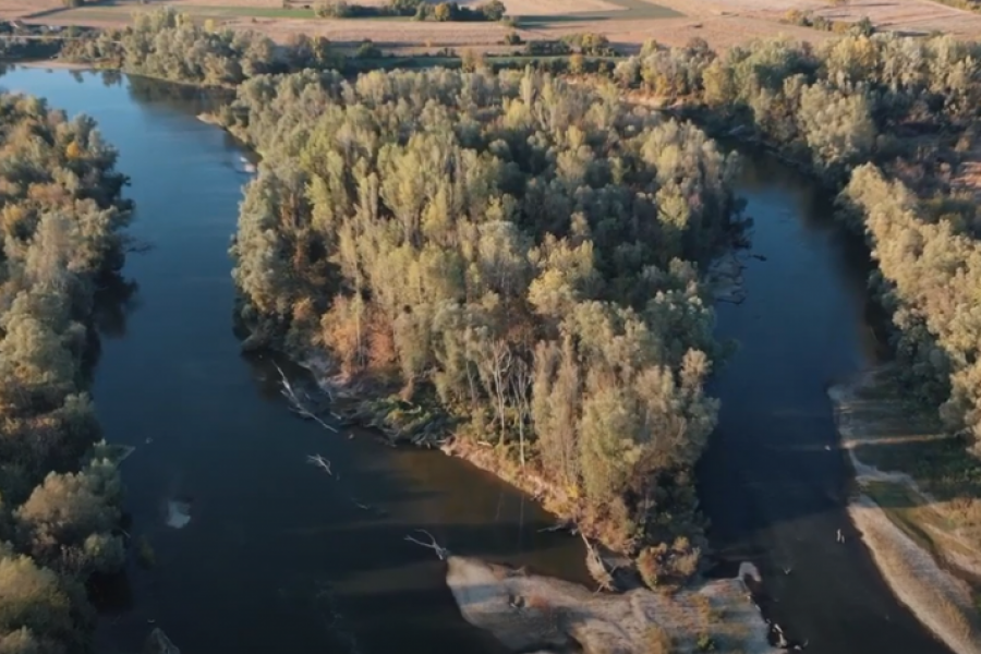 MANASTIR ČIJI SU KTITORI POGINULI NA KOSOVU Skromna i prelepa svetinja nedaleko od Trstenika