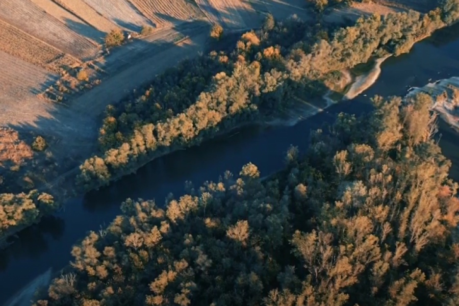 UZ MORAVU VETAR DUVA Najduža reka u Srbiji (VIDEO)