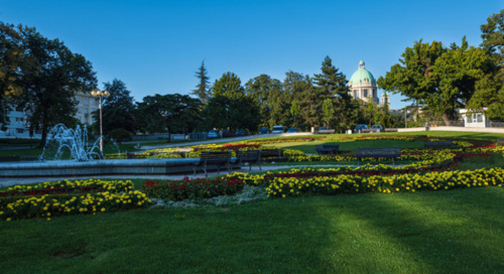 JEDAN OD NAJLEPŠIH U BEOGRADU Spomenik prirode, Pionirski park