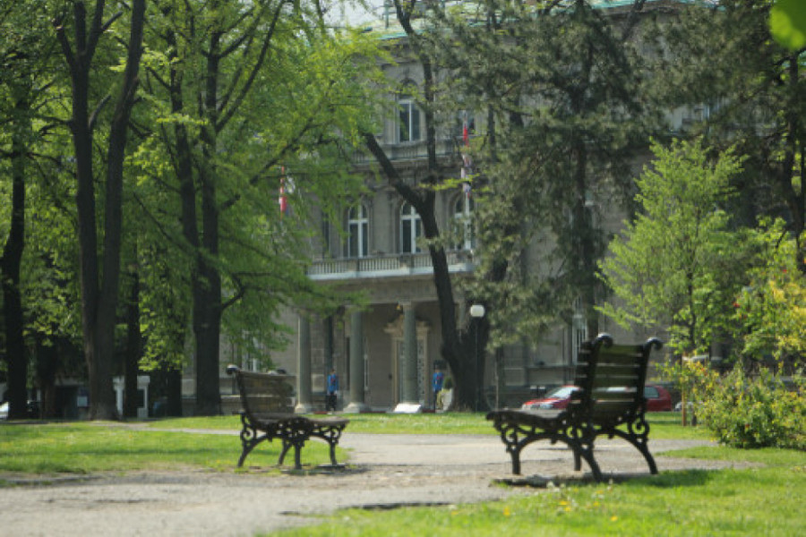 JEDAN OD NAJLEPŠIH U BEOGRADU Spomenik prirode, Pionirski park