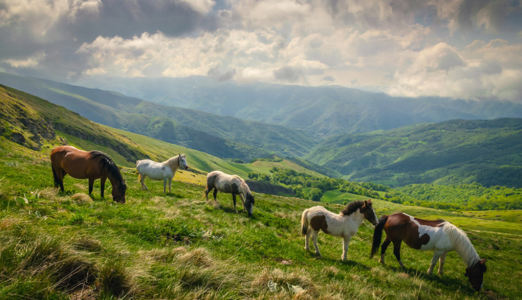 NEDOVOLJNO ISTRAŽENA PLANINA Poslednjih godina sve posećenija! (VIDEO)