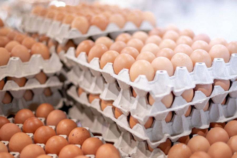 POTREBNO VAM JE SAMO 5 MINUTA Ne bacajte kutije od jaja, evo kako možete da ih iskoristite (VIDEO)