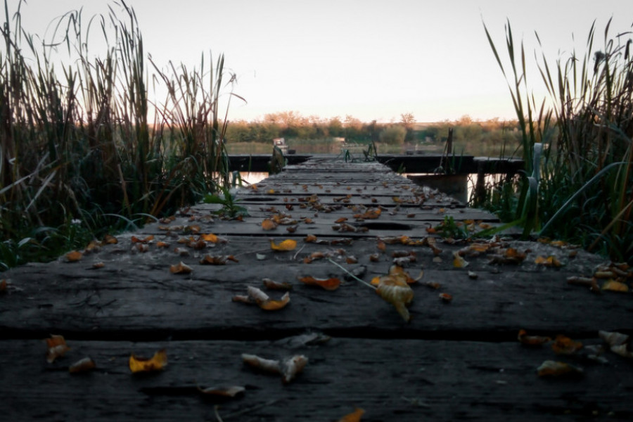 VEŠTAČKO JEZERO U SREMU Mesto za piknik i ribolov, i mnoge druge sadržaje (VIDEO)