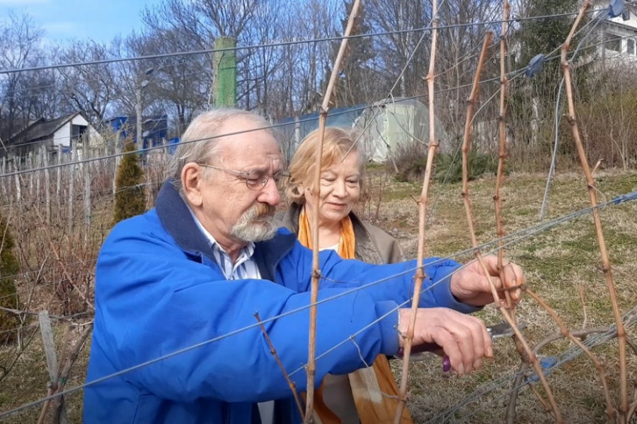 ŠUMSKI VELNES ZA OPORAVAK DUŠE I TELA Obišli svet i plovili okeanima, a svoju mirnu luku pronašli su podno Oplenca (FOTO)