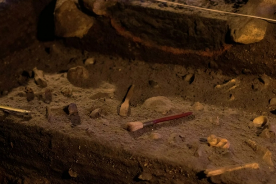 NEVEROVATNO OTKRIĆE U VOJVODINI U grobnicama pronađene kosti obojene u crveno