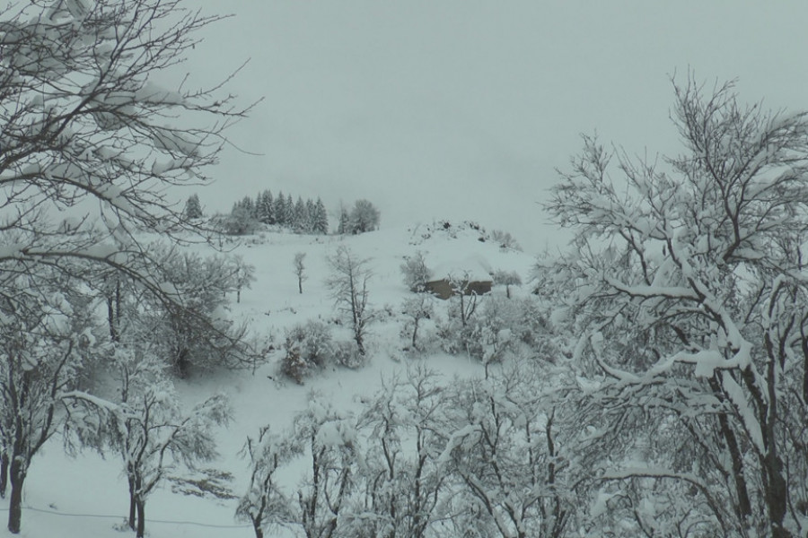 NAMIRNICE KUPUJU SVE DO PROLEĆA Ovako žive meštani planinskih sela na Zlataru, tamo vanredna situacija još uvek traje (FOTO)