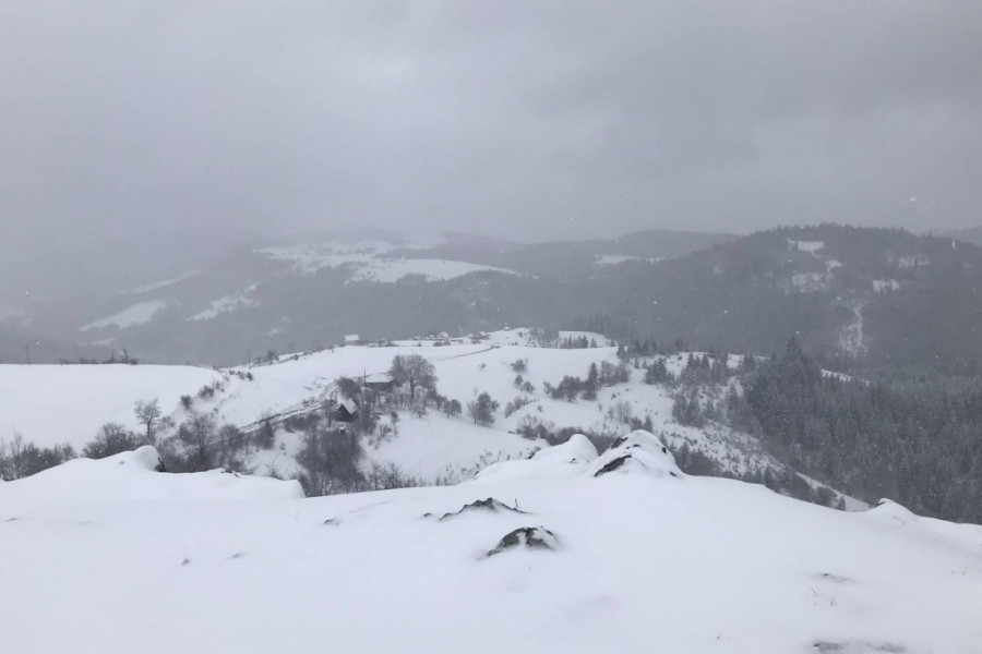 MALINARI U STRAHU ZBOG CRVENOG ZLATA U planinskim selima ove planine palo preko 20 centimetara novog snega