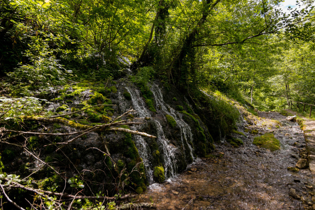 POSLEDNJI SPAS NA ČUDOTVORNOM IZVORU Ako tri puta popijte vodu ostaćete u drugom stanju, ovo prirodno otkriće nadaleko je poznato! (FOTO)