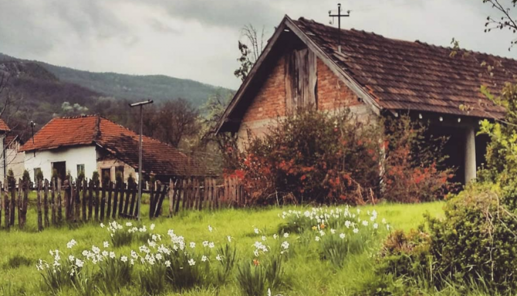 SELO ZLAKUSA JE SELO KOJE IMA DUŠU, TRADICIJU I BUDUĆNOST Poznato je po starom grnčarskom zanatu, smešteno u dolini reke Đetinje, a sama priroda oduzima dah (VIDEO)