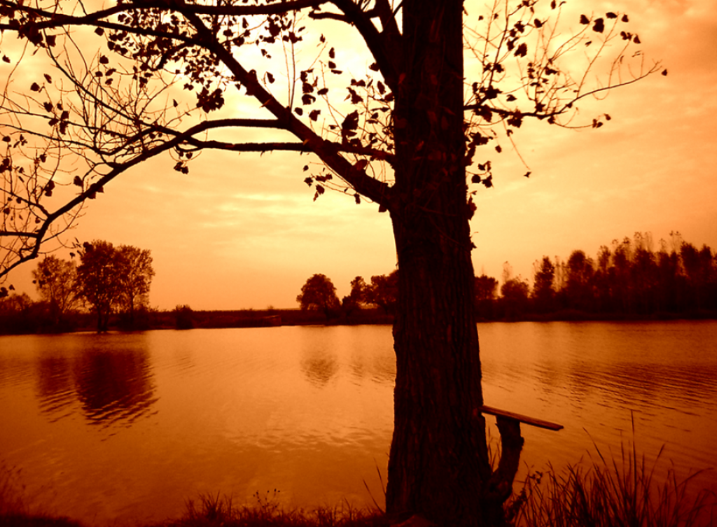 ŽELITE DA PRVI MAJ PROVEDETE BLIZU VODE? Ovih 5 srpskih jezera je idealno za predstojeći praznik