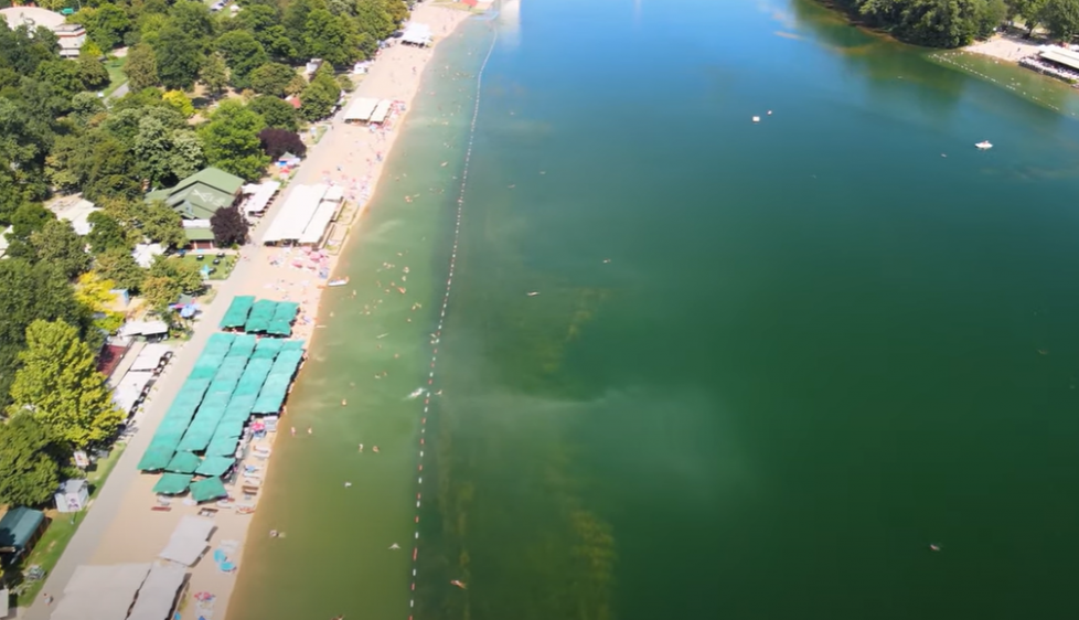 MORE I SAFARI NA JEDNOM MESTU U Savskom jezeru su od 1994. godine primećene i slatkovodne bele meduze (VIDEO)