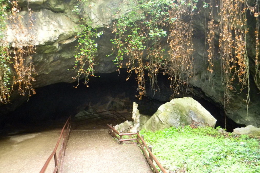 VELIKI JUBILEJ Na današnji dan je za posetioce otvorena pećina stara 80 miliona godina