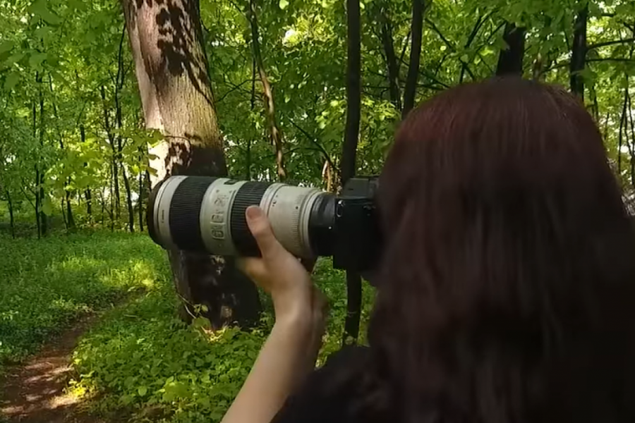 BUDITE DEO VIKIMEDIJINE PLATFORME Dođite na "Pančić foto-piknik" i svojim fotografijama zabeležite prirodu Srbije (VIDEO)