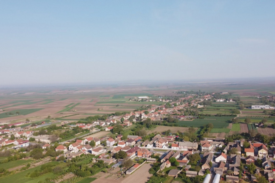 BIRA SE NAJVEĆI, NAJLEPŠI ALI I NAJMANJI Sve Đoke na jednom mestu, selo na obalama Dunava, jedinstveno u čitavom svetu samo po jednoj stvari (FOTO)
