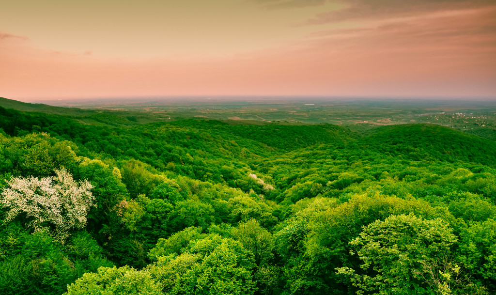 ZA NEKE OD NJIH SIGURNO NISTI ČULI Da li znate koliko Srbija ima planina?