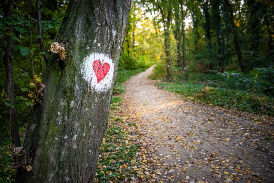 NEVEROVATNA PRIČA KOJA ĆE VAS OSTAVITI BEZ TEKSTA Da li znate koji je najstariji nacionalni park u Srbiji? (FOTO)