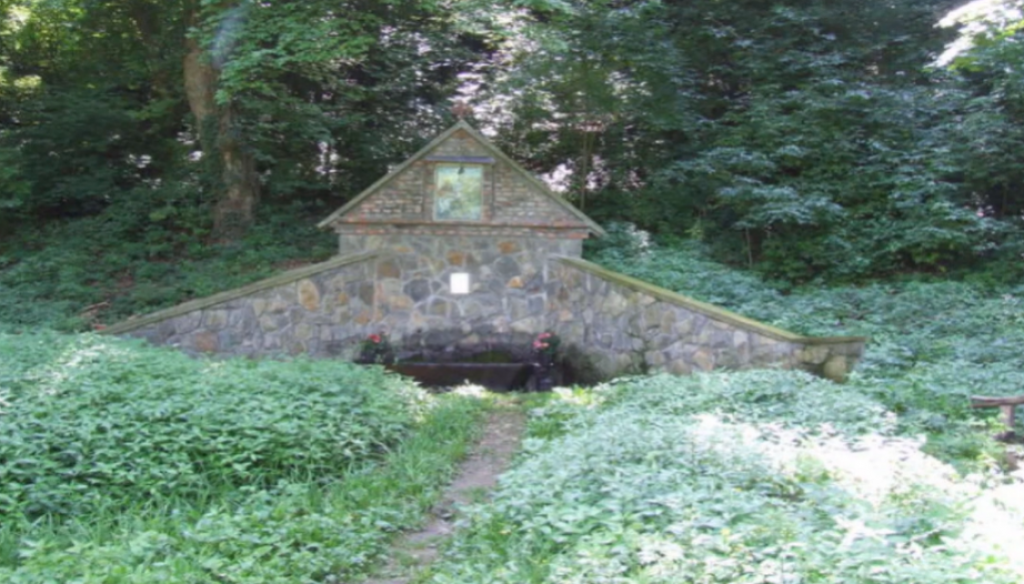 DUNAVSKA RIVIJERA POSTAJE PONOVO ATRAKTIVNA Sedamdesetih je bilo zlatno doba turizma u Čortanovcima, kada su dolazili turisti iz cele bivše Jugoslavije (VIDEO/FOTO)