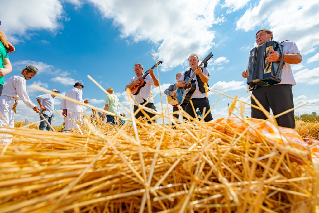 TRADICIONALNI SRPSKI MUZIČKI INSTRUMENTI Frula, gusle, tambure, gajde  i danas uživaju veliku popularnost (FOTO/VIDEO)