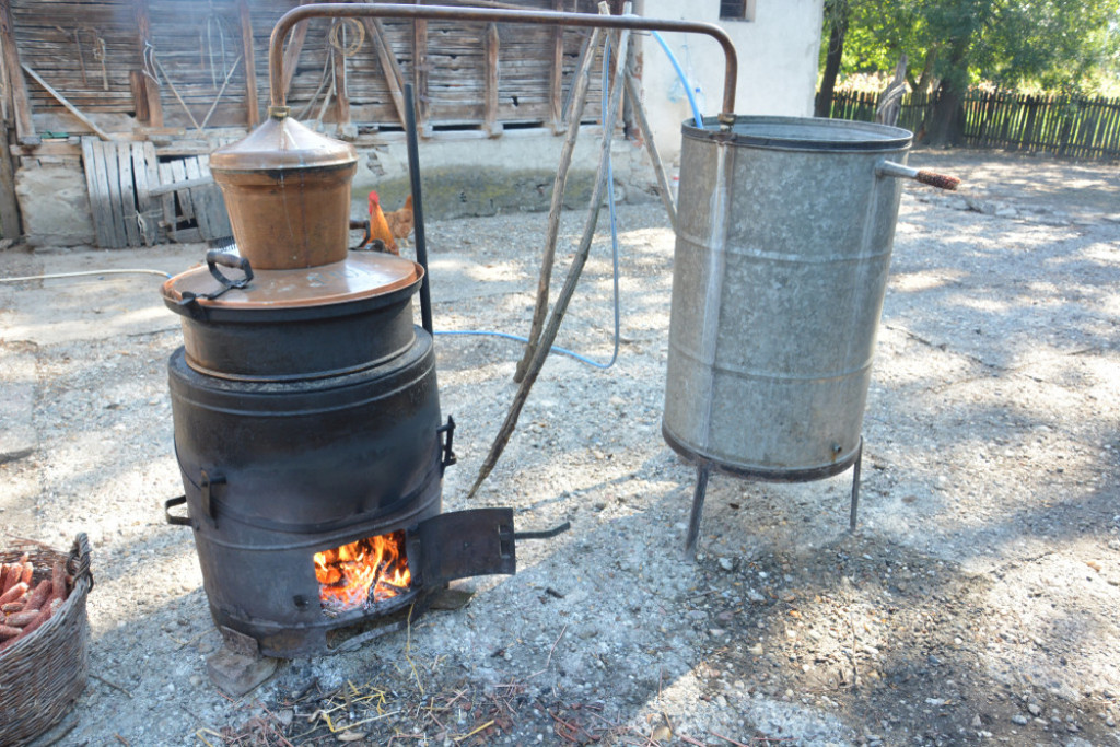 SVE PREDNOSTI RURALNOG ŽIVOTA Selo je idealno mesto za život ako tražite harmoniju sa prirodom (FOTO/VIDEO)